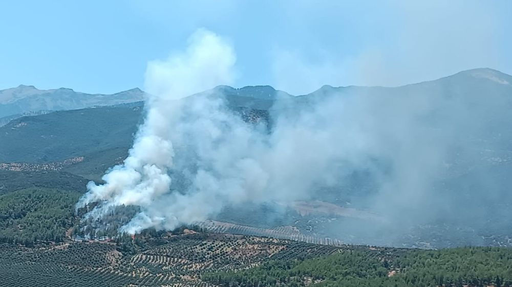 Hatay'da orman yangını! Havadan ve karadan müdahale