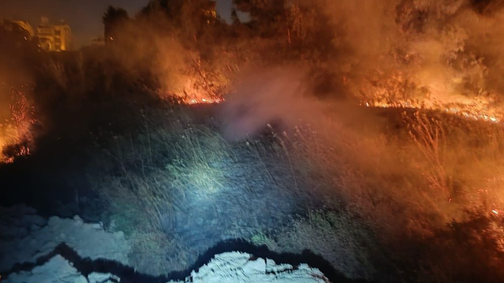 Hatay’da  otluk ve kamışlık alanda çıkan yangın kokuya neden oldu 