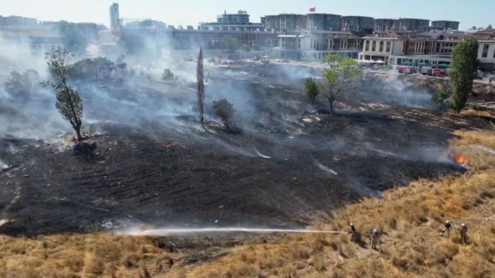 İstanbul'da otluk alanda yangın Ekipler seferber oldu