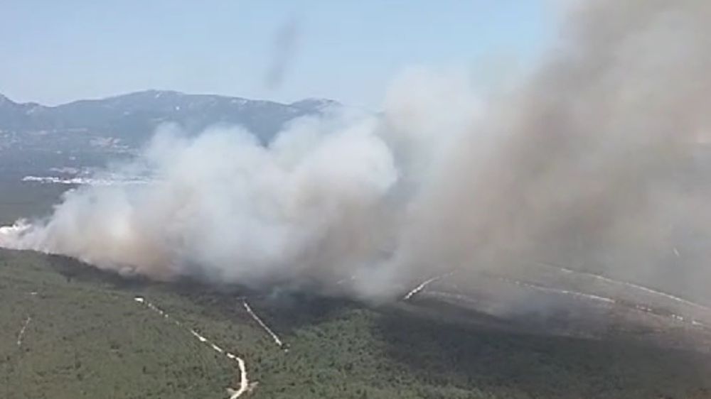 İzmir'de orman yangını müdahale devam ediyor