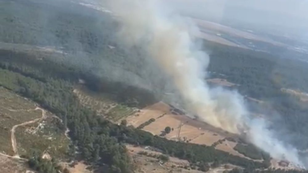 İzmir'de orman yangınına müdahale devam ediyor