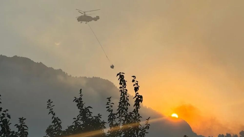 Kahramanmaraş’ta meydana gelen orman yangın kontrol altında 