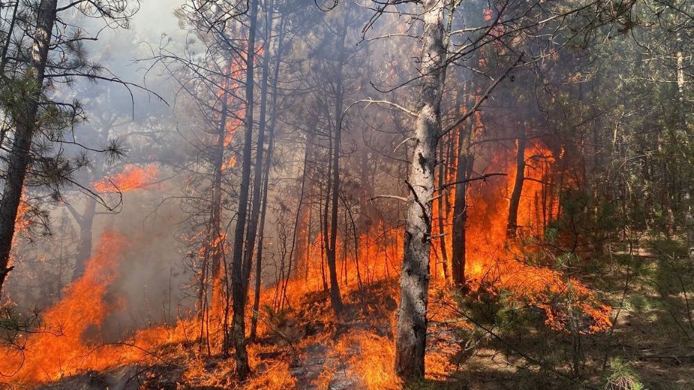 Karabük'te devam eden yangın büyüyor