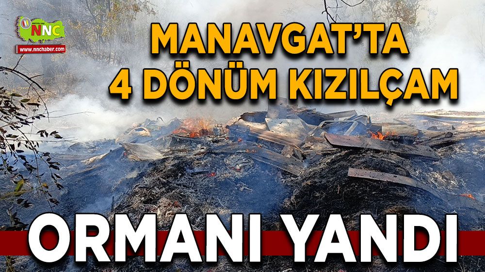 Manavgat'ta orman yangını! 4 dönüm kızılçam ormanı yandı