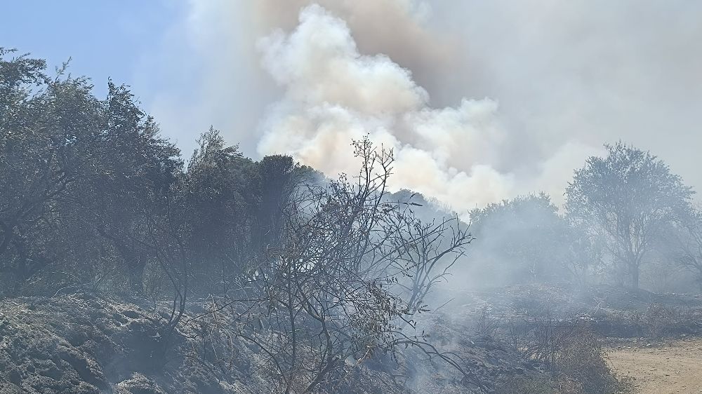 Manisa'da korkutan yangın; müdahale devam ediyor 