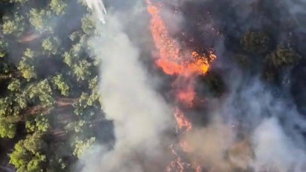 Manisa'da ormanlık alanda yangın Havadan karadan müdahale