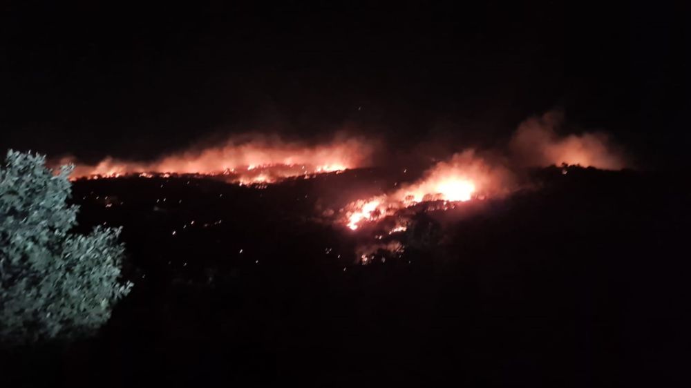 Mardin’de gece saatlerinde başlayan yangın kontrol altına alındı 