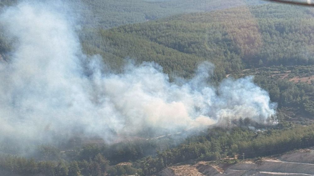 Milas’ta orman yangını Havadan karadan müdahale