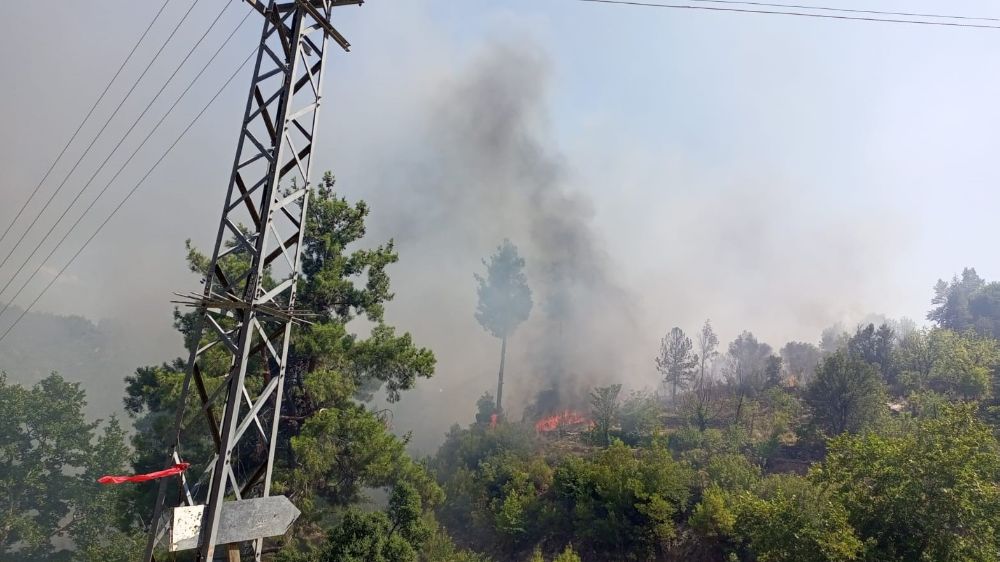 Muğla'da ev yangını ormana sıçradı