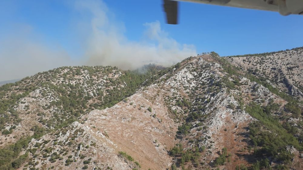 Muğla’da korkutan yangın; çalışmalar devam ediyor 