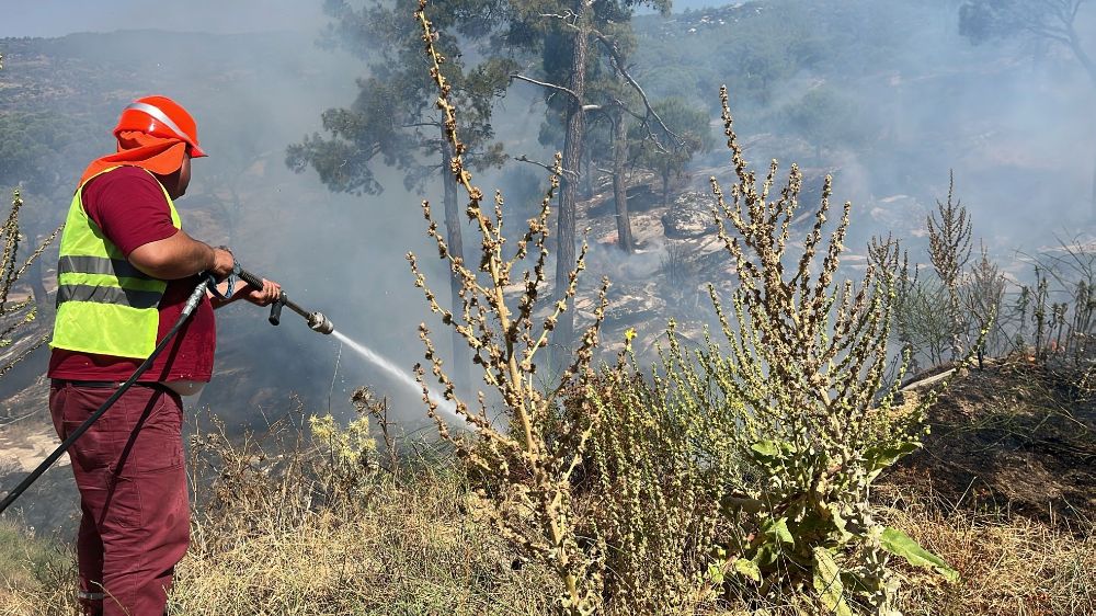 Muğla'da korkutan yangın sonunda kontrol altına alındı 