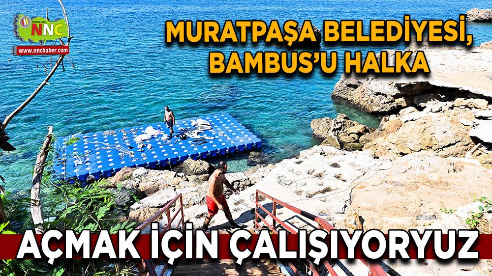  Muratpaşa Belediyesi, Bambus'u halka açmak için çabalıyor