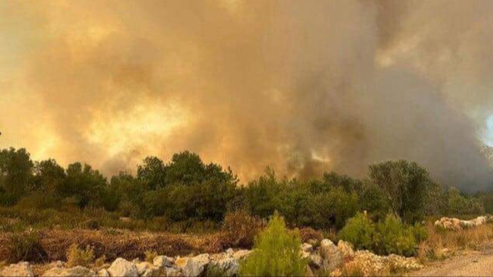 Serik’te  Orman Yangını  evler boşaltıldı 