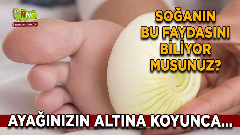 Soğanın bu faydasını biliyor musunuz? Ayağınızın altına koyunca o dertten kurtulacaksınız! Soğanı ayak altına koymanın inanılmaz faydaları!