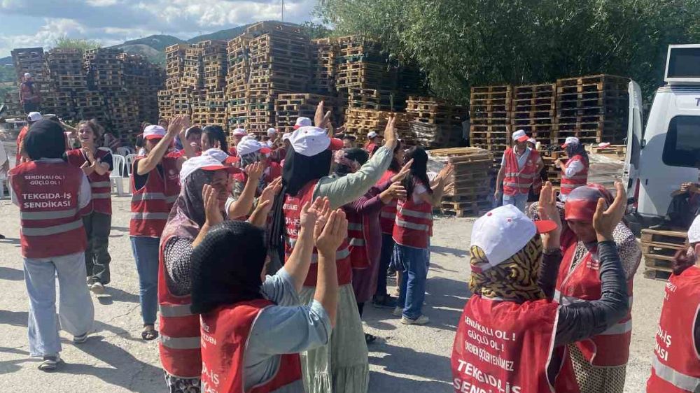 Tazminatsız işten çıkartılan işçiler 14 gündür eylemde