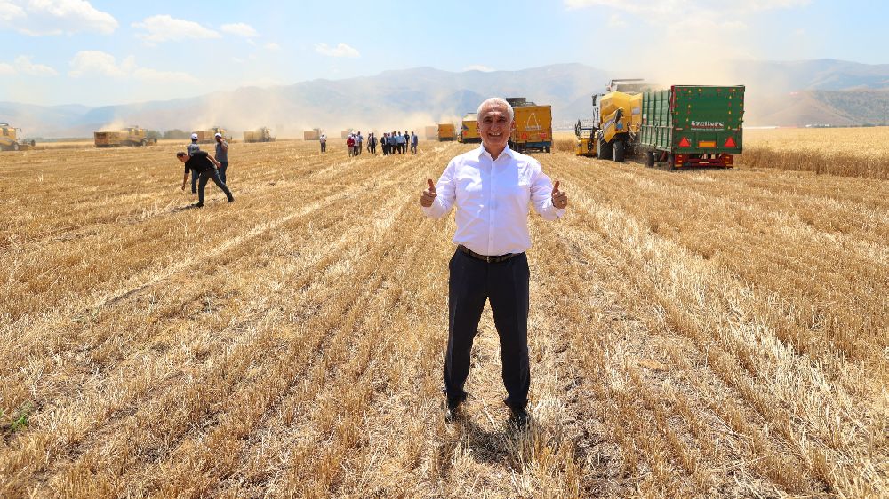 Türkiye'nin en verimli üçüncü ovasında hububat hasadı başladı