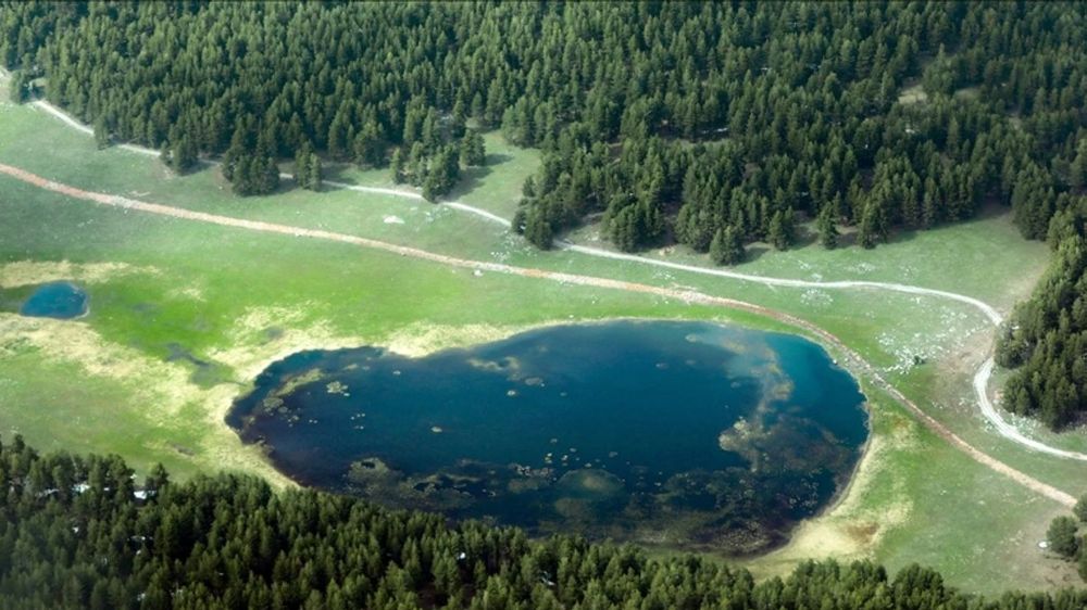 Yapay zeka Artvin'in en güzel ilçesini açıkladı! Siz olsanız hangisini seçerdiniz?