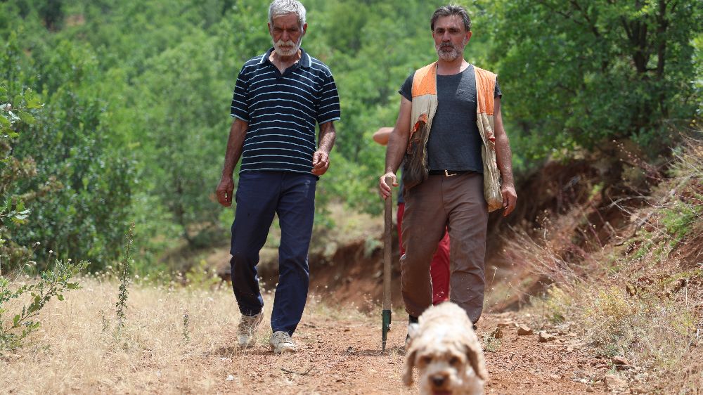 Zafer Şerafettin Kavak, yoldaşıyla birlikte kara elmas avlıyor