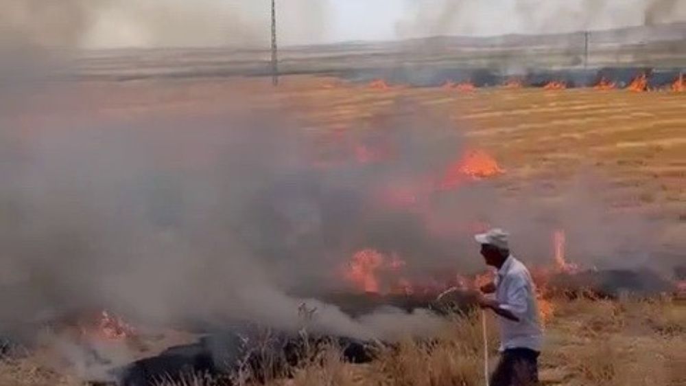 Adıyaman'da anız yangını çiftçiden büyük mücadele