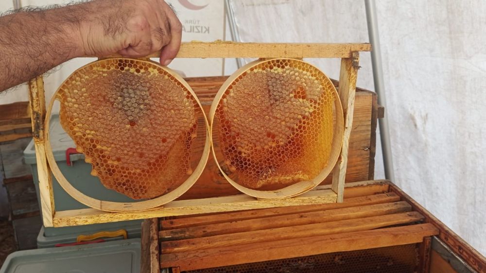  Adıyaman'da bal sağımına başlandı