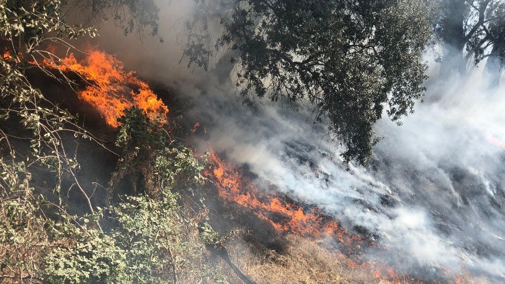 Adıyaman'da otluk alanda yangın