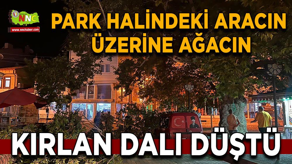 Afyon'da park halindeki aracın üzerine ağacın kırılan dalı düştü