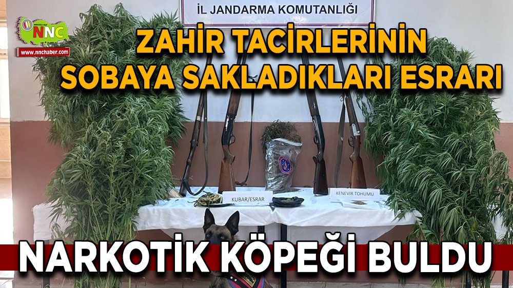 Afyon'da sobaya sakladıkları esrarı narkotik köpeği buldu