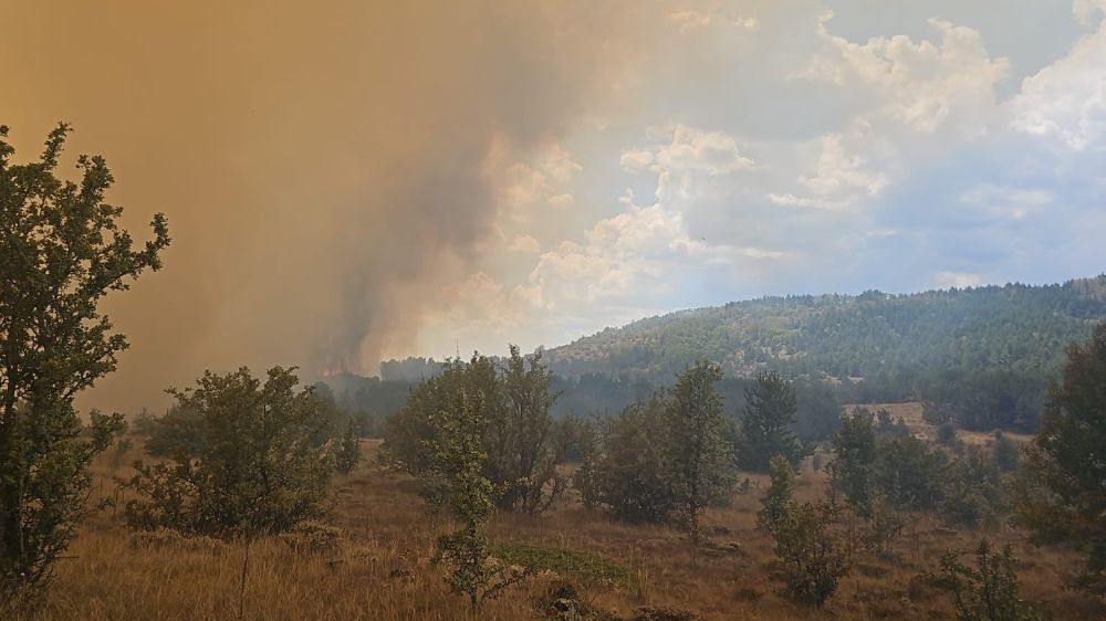 Ankara-Bolu sınırında anız yangını ormanlık alana sıçradı