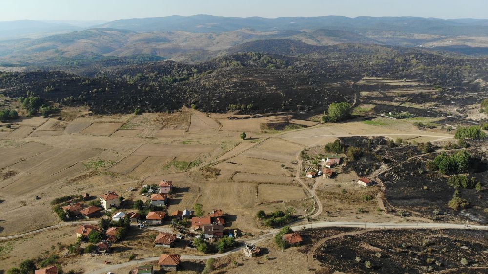 Ankara-Bolu sınırında yanan bölge görüntülendi