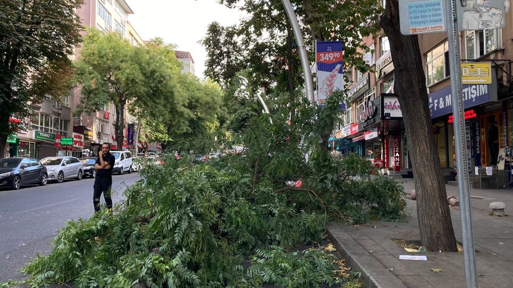 Ankara'da ağaç dalı araçların üzerine düştü