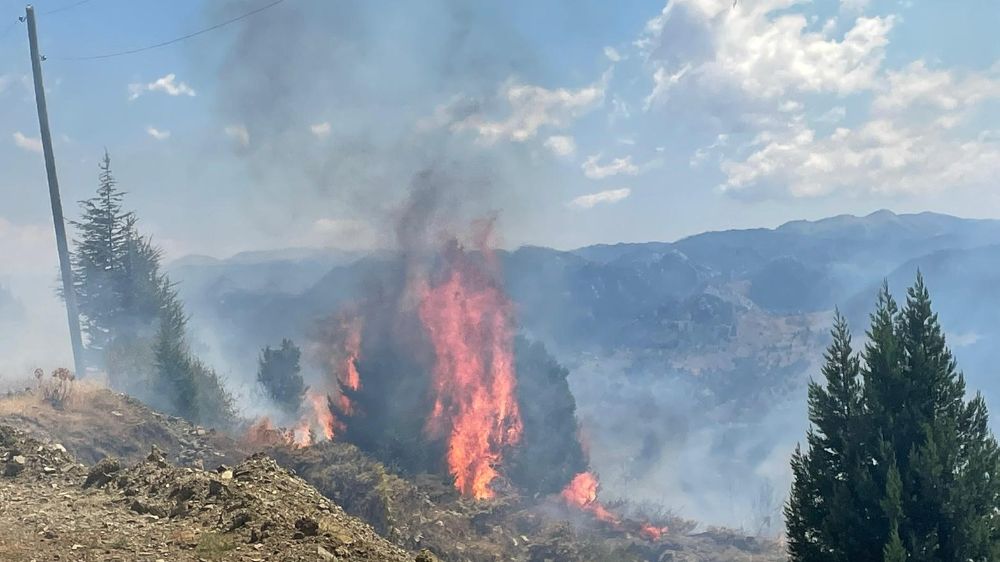 Antalya'da makilik alanda yangın