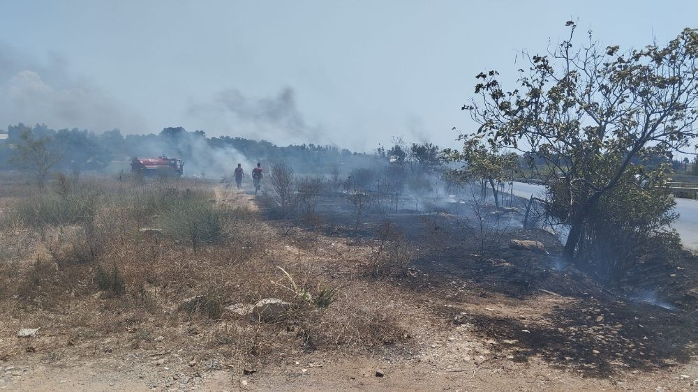 Antalya'da sigara izmariti yangına sebep oldu