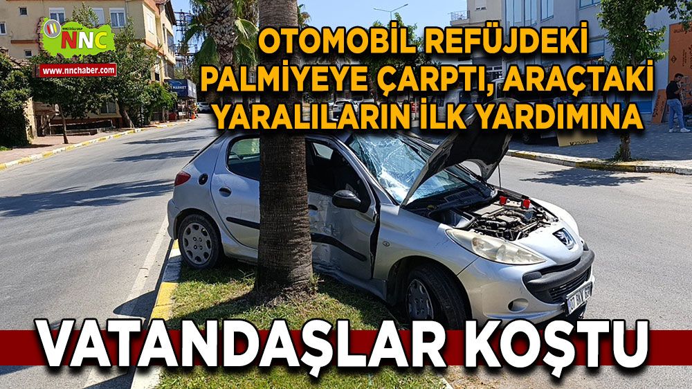 Antalya'da trafik kazası!  Otomobil refüjdeki palmiyeye çarptı