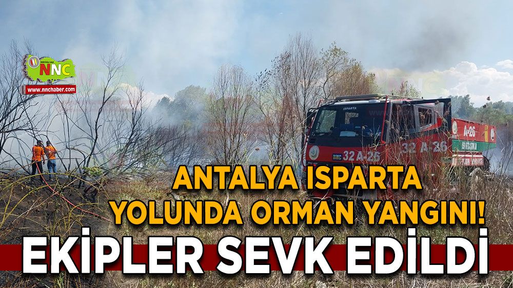 Antalya Isparta yolunda orman yangını! Ekipler sevk edildi