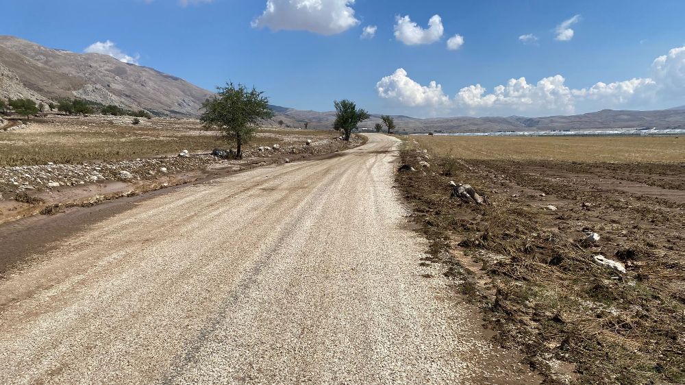 Antalya Korkuteli Sel Felaketi Onlarca Hayvan Telef oldu