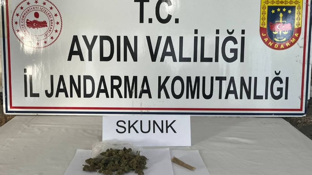 Aydın'da uyuşturucu operasyonu 29 şüpheliden 1'i tutuklandı