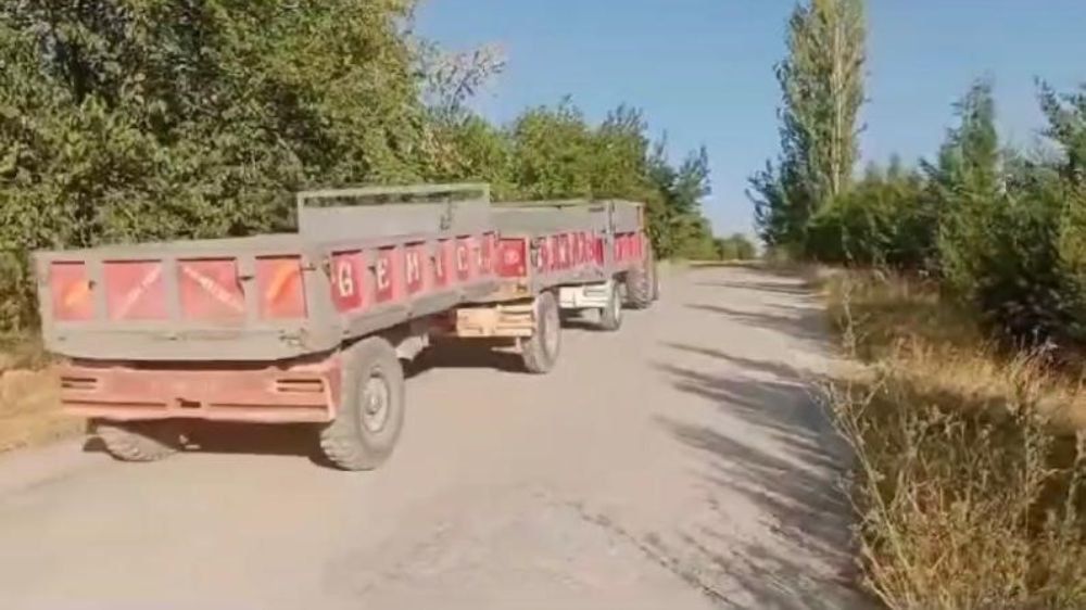 Baskil'de bir üretici , traktörünün arkasına 3 tane römork bağlayarak mahsul topladı