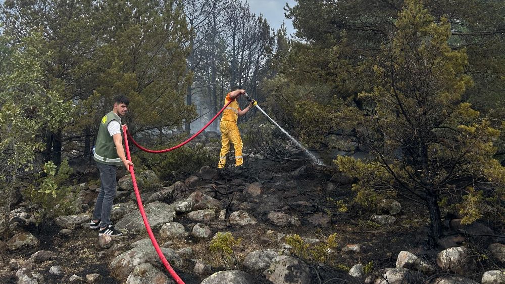 Bolu'da orman yangını çıktı