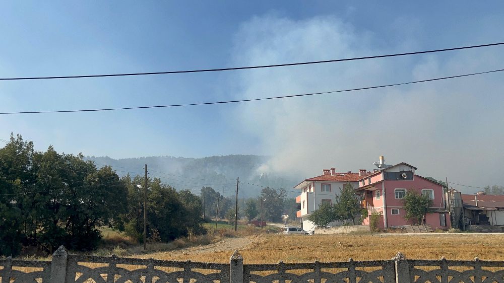 Bolu'daki orman yangınına ilişkin 4 kişiden 2'si tutuklandı