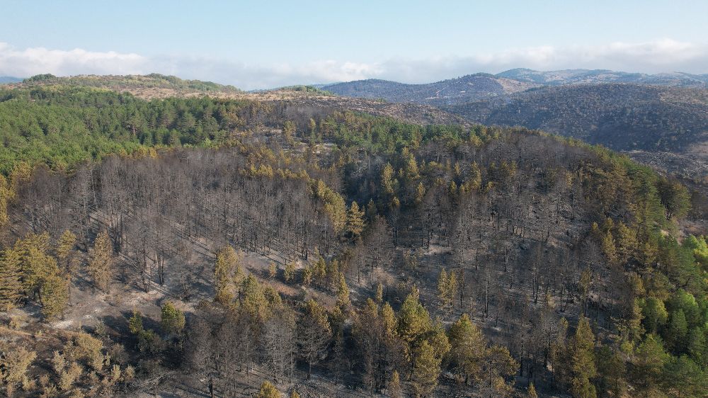 Bolu’daki yangından etkilenen alanda söndürme ve soğutma çalışmaları devam ediyor