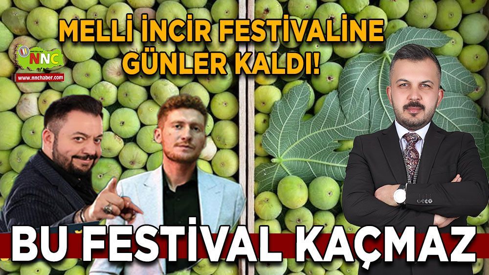 Bu festival kaçmaz! Melli incir festivaline günler kaldı