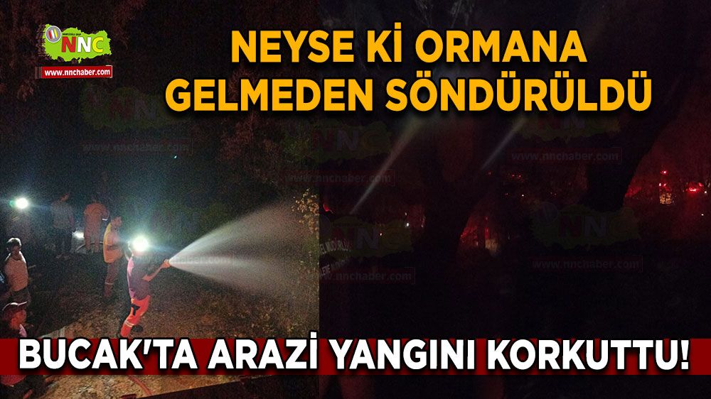 Bucak'ta arazi yangını korkuttu! Neyse ki ormana gelmeden söndürüldü