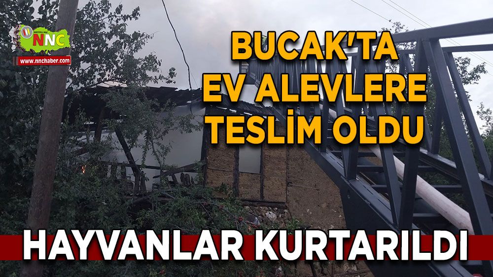 Bucak'ta ev alevlere teslim oldu, hayvanlar kurtarıldı