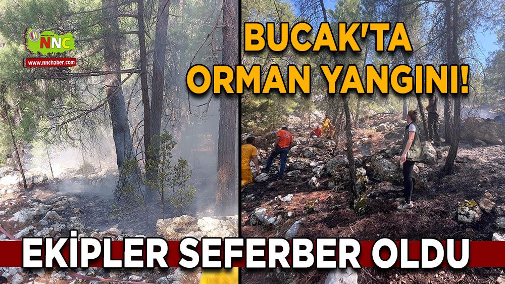 Bucak'ta orman yangını! Ekipler seferber oldu