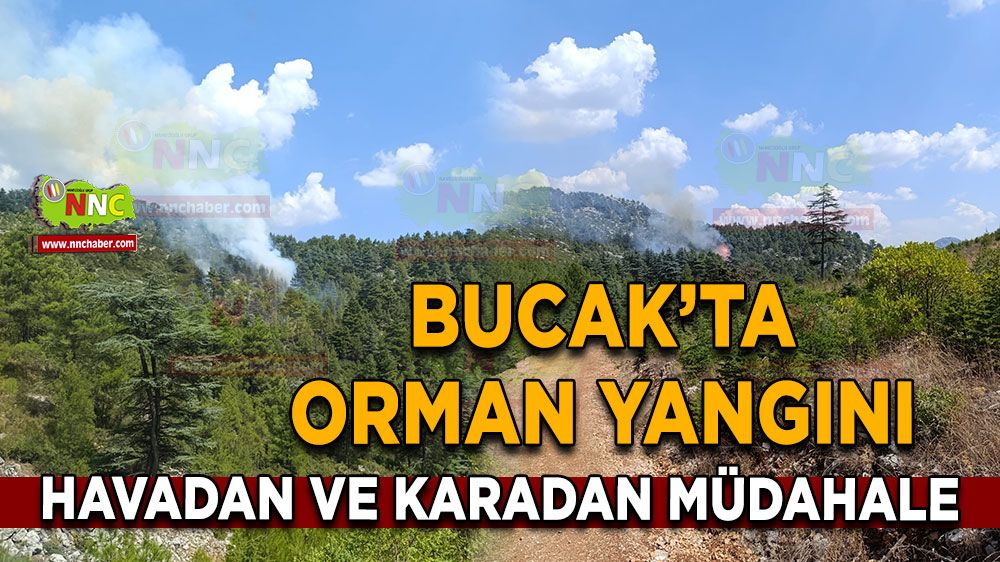 Bucak'ta orman yangını! Havadan ve karadan müdahale