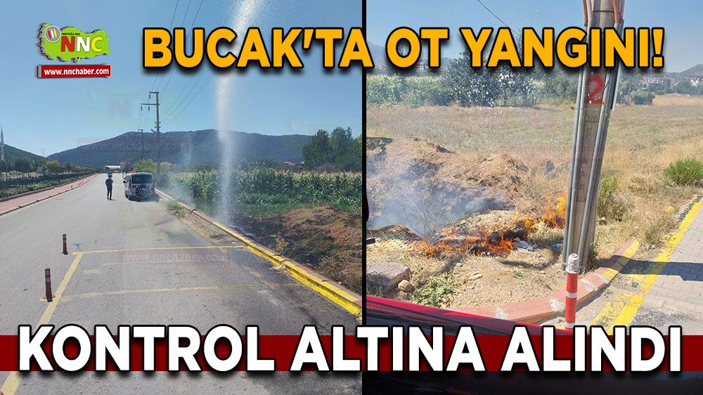 Bucak'ta ot yangını! Kontrol altına alındı