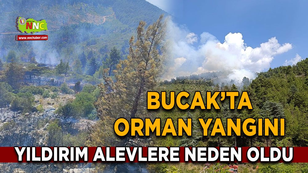 Bucak'ta yıldırım düştü, orman yandı