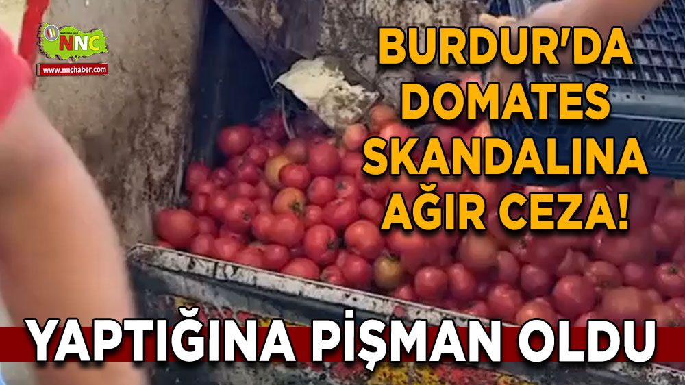 Burdur'da domates skandalına ağır ceza! Yaptığına pişman oldu