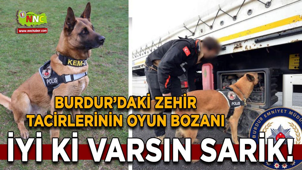 Burdur’daki zehir tacirlerinin oyun bozanı: İyi ki varsın Sarik!