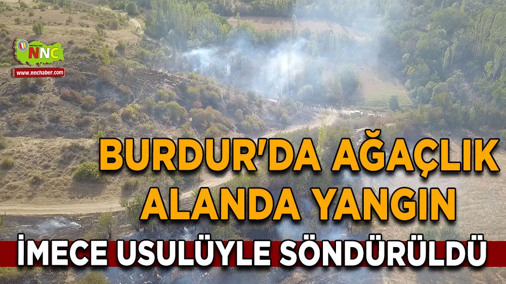 Burdur yangın! Alevlere imece usulü ile müdahale ettiler